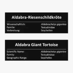 Aldabra-Riesenschildkröte
