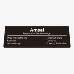 Amsel