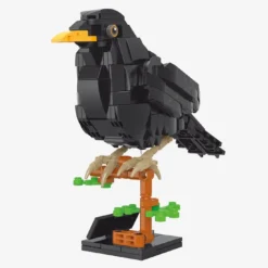 Amsel