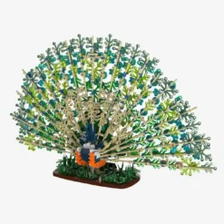 Blauer Pfau