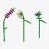 Blüten-Ensemble