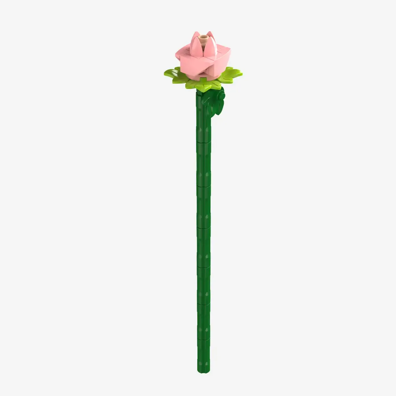 Blüten-Ensemble