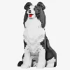 Border Collie (diamond blocks)