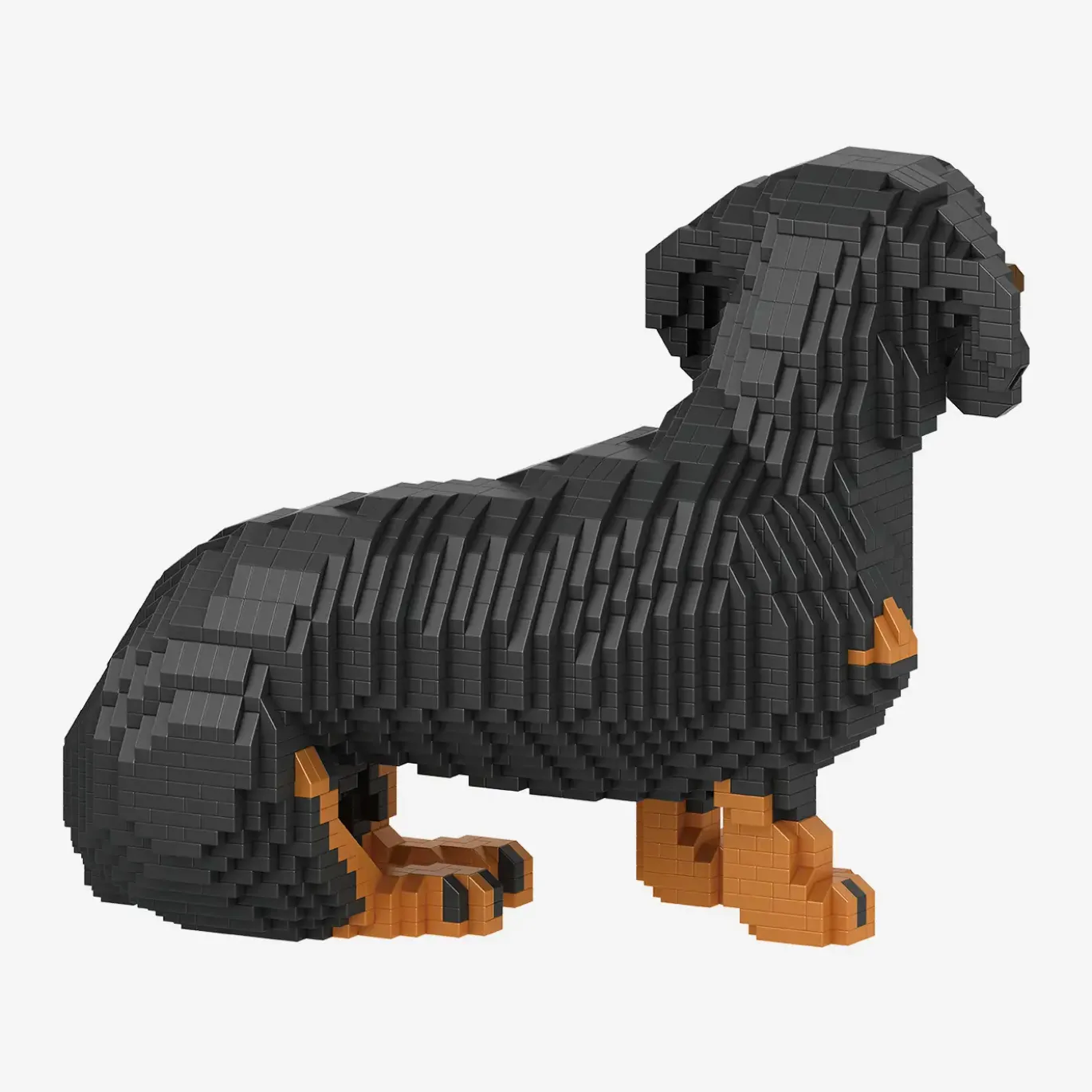 Dackel
