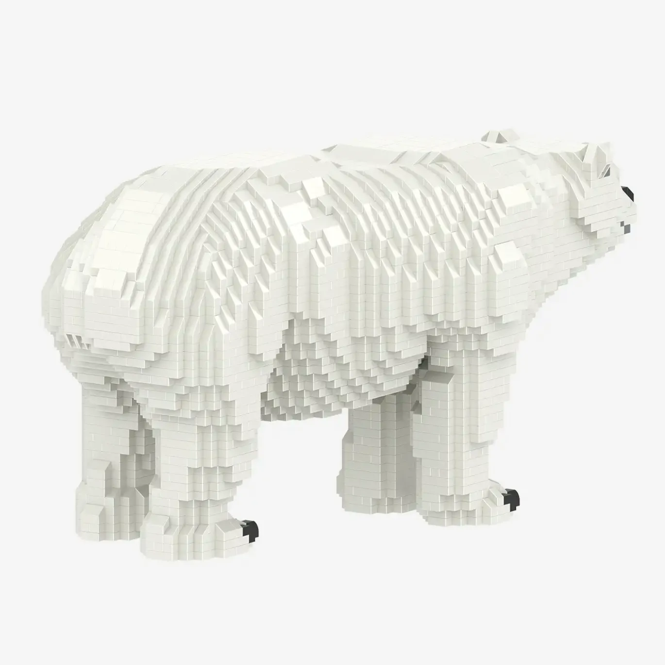 Eisbär
