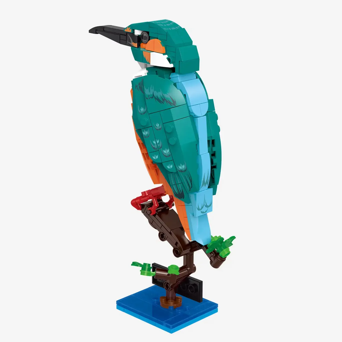 Eisvogel