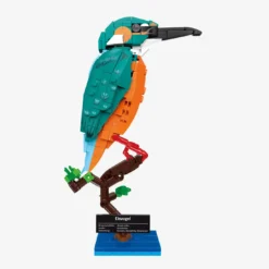 Eisvogel