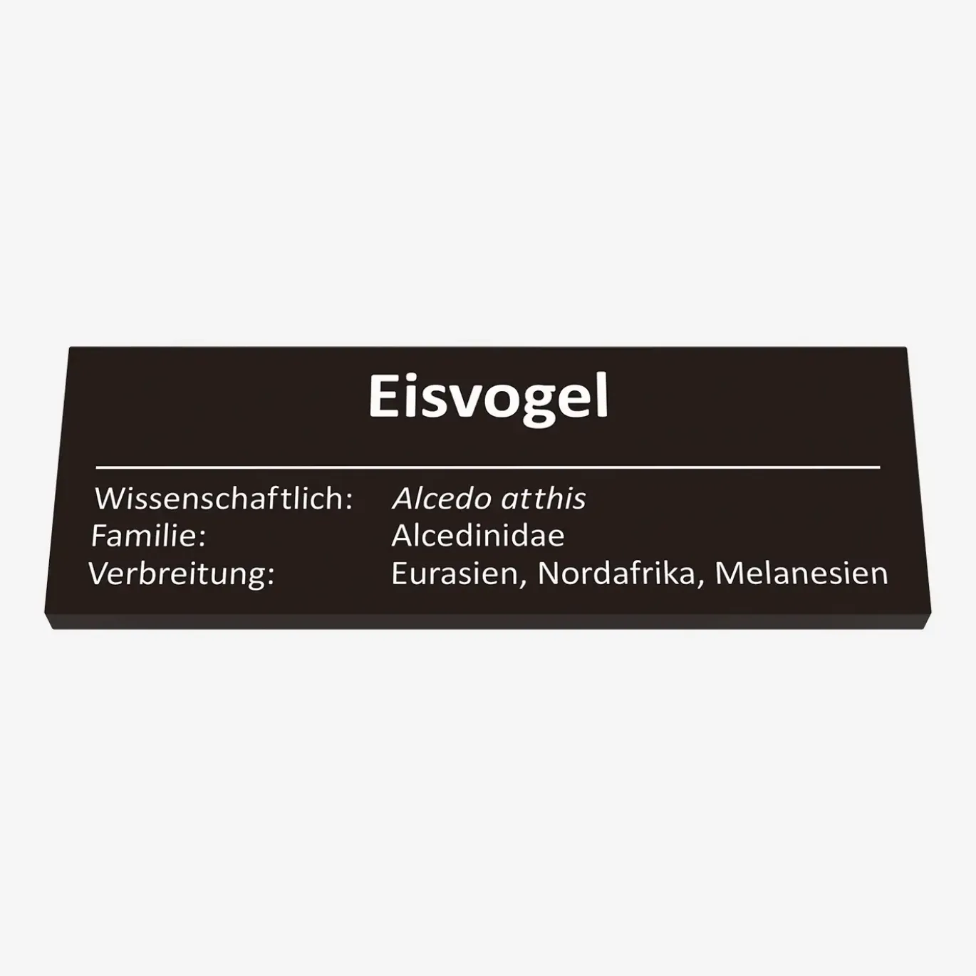 Eisvogel