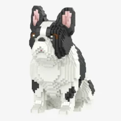Französische Bulldogge