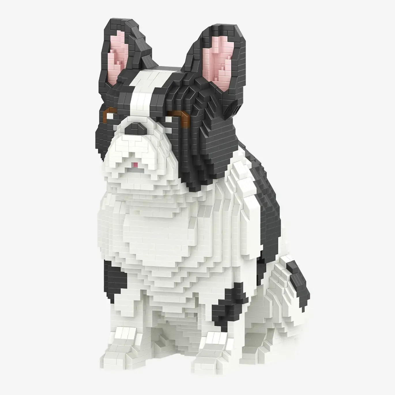 Französische Bulldogge