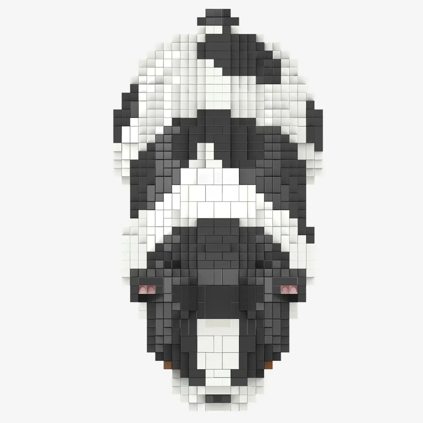 Französische Bulldogge