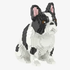 Französische Bulldogge
