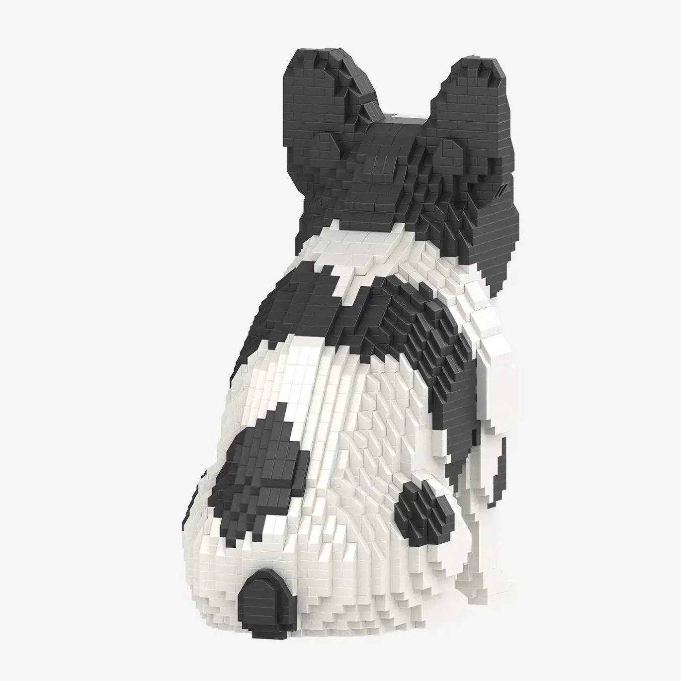 Französische Bulldogge