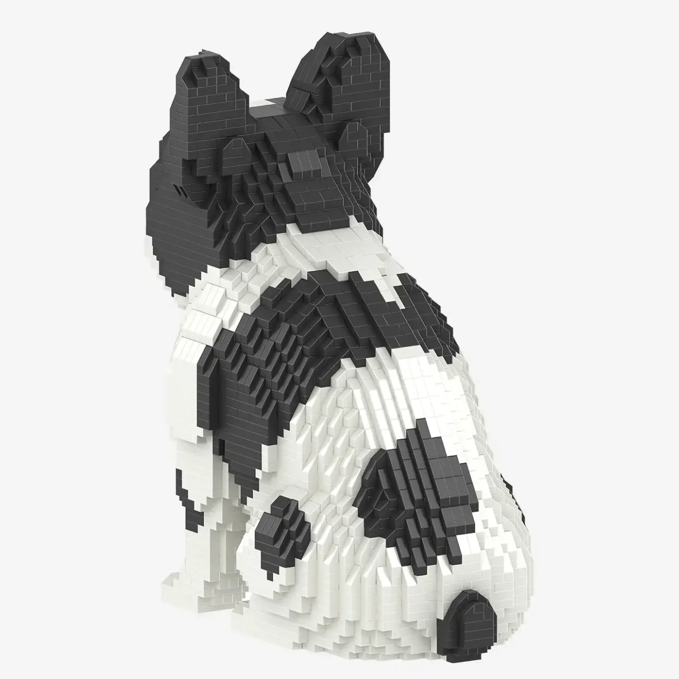 Französische Bulldogge