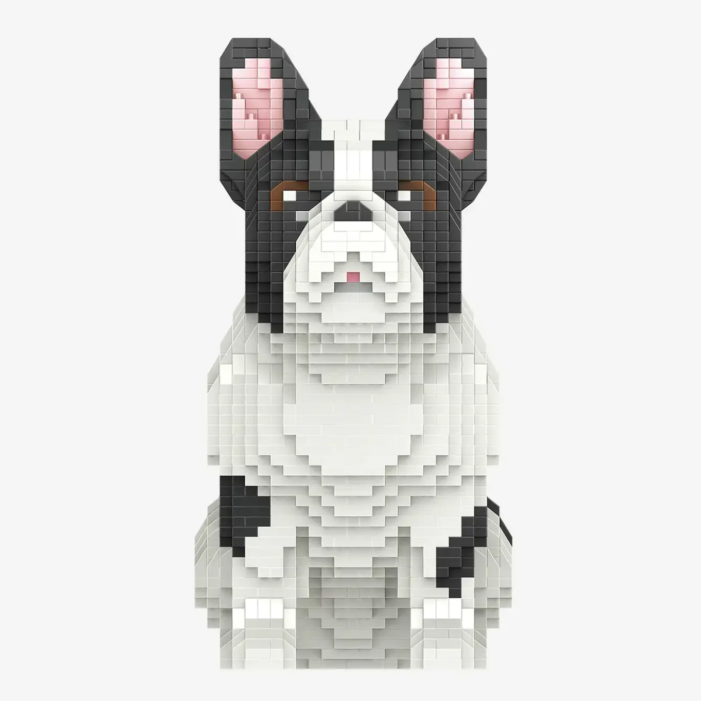Französische Bulldogge