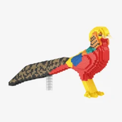 Goldfasan