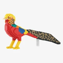 Goldfasan