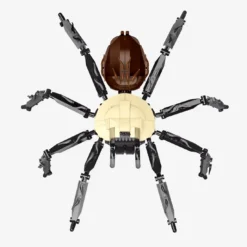 Goldrückenvogelspinne