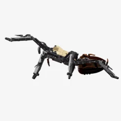 Goldrückenvogelspinne
