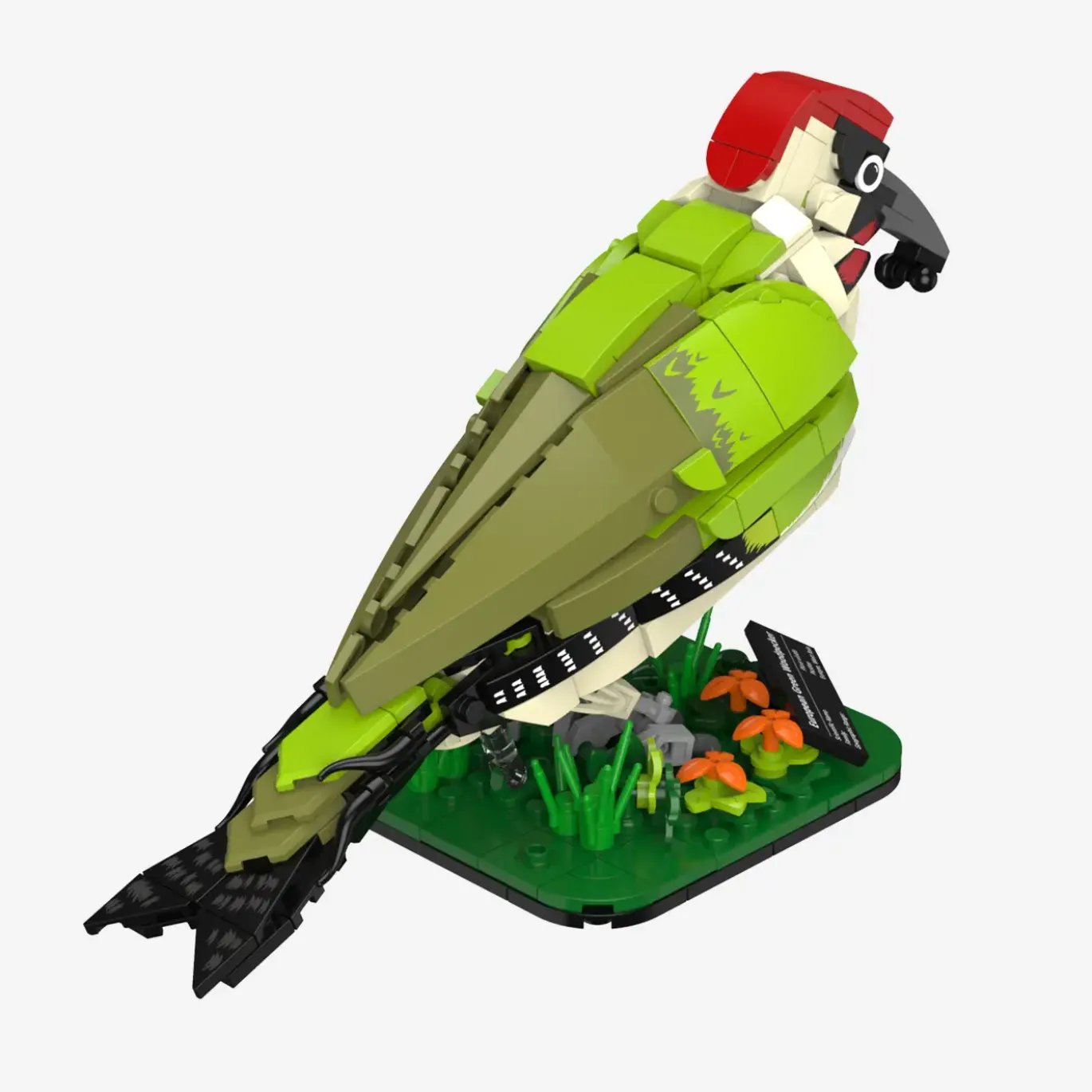 Grünspecht