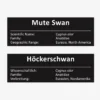 Höckerschwan