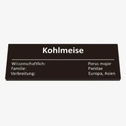 Kohlmeise