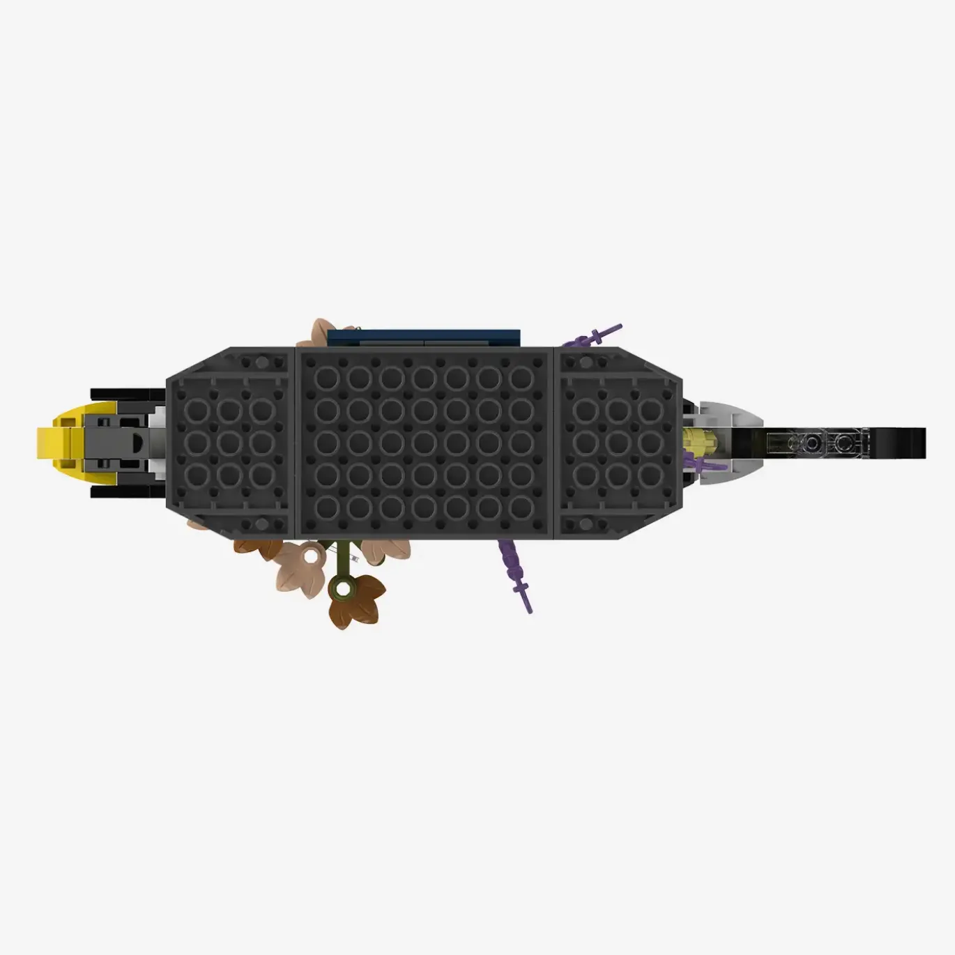 Leopard-Drückerfisch