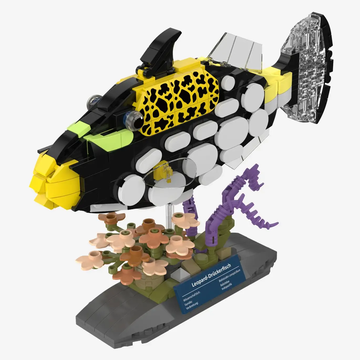 Leopard-Drückerfisch