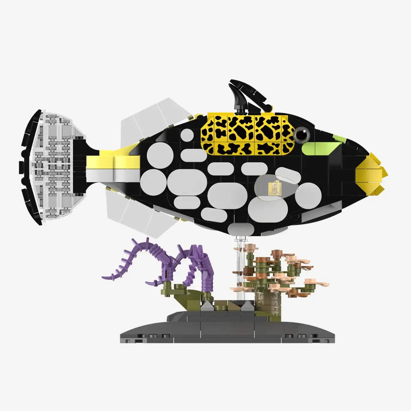 Leopard-Drückerfisch
