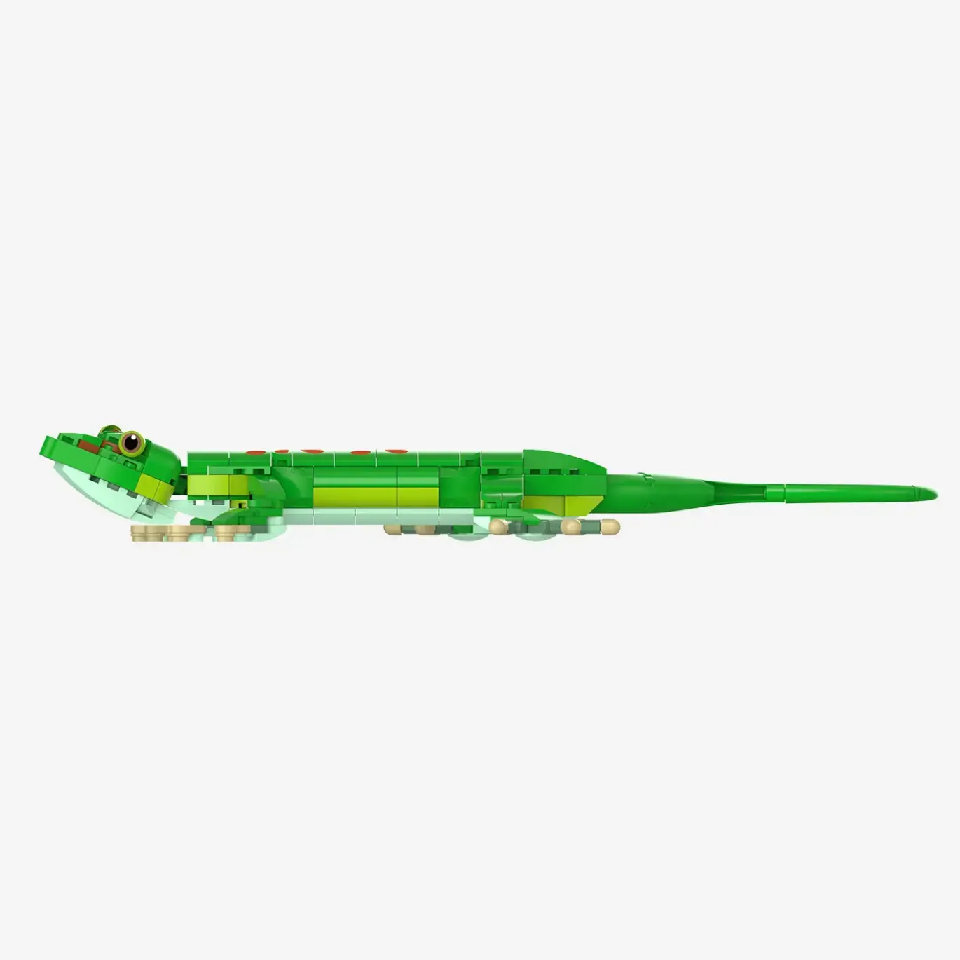 Madagaskar-Taggecko