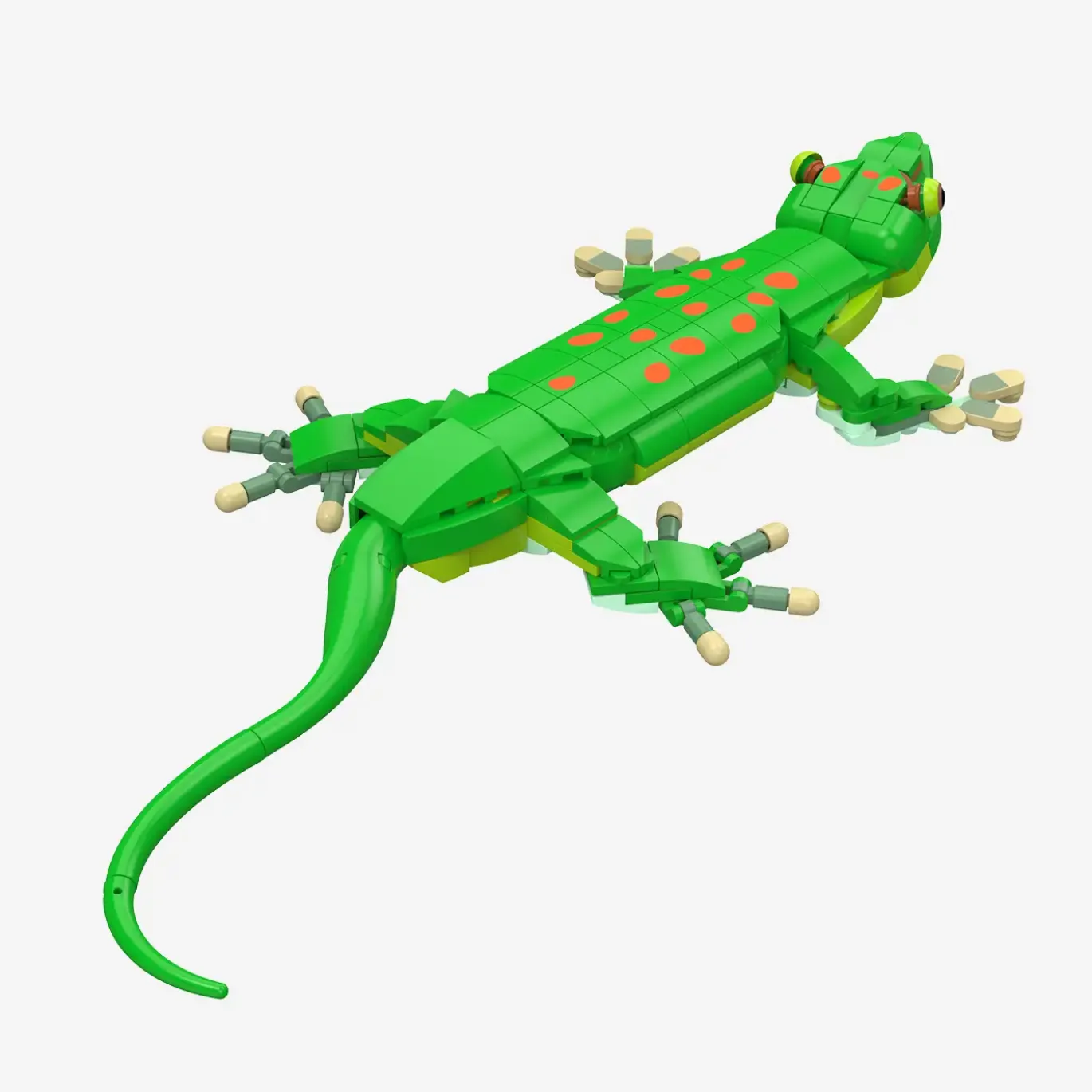 Madagaskar-Taggecko
