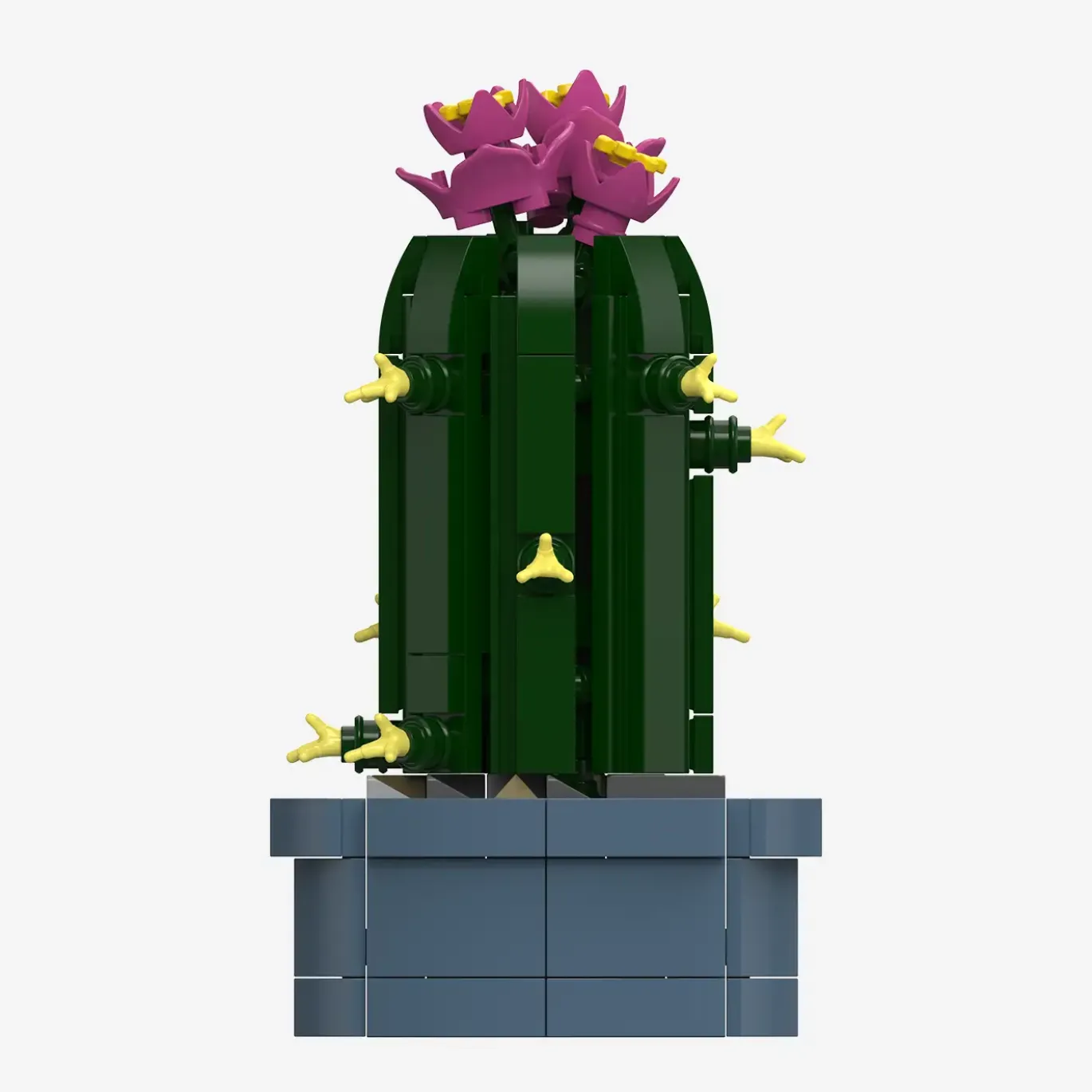 Mini-Säulenkaktus mit rosa Blüten