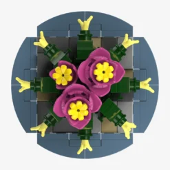 Mini-Säulenkaktus mit rosa Blüten