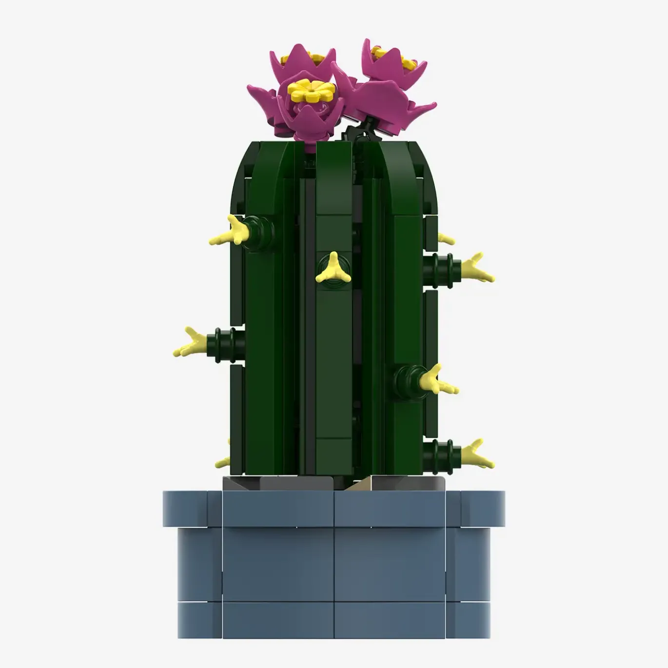 Mini-Säulenkaktus mit rosa Blüten