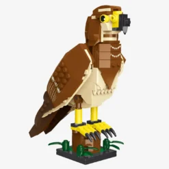 Mäusebussard