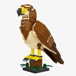 Mäusebussard