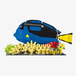Paletten-Doktorfisch