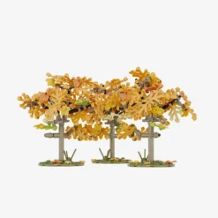 Pflaumenbäume im Herbst, 3er-Set