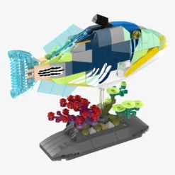 Picasso-Drückerfisch