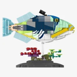 Picasso-Drückerfisch