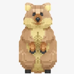 Quokka
