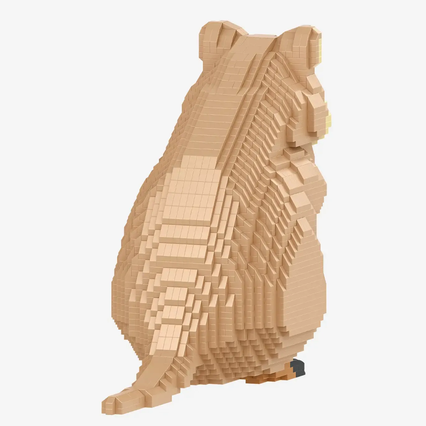 Quokka