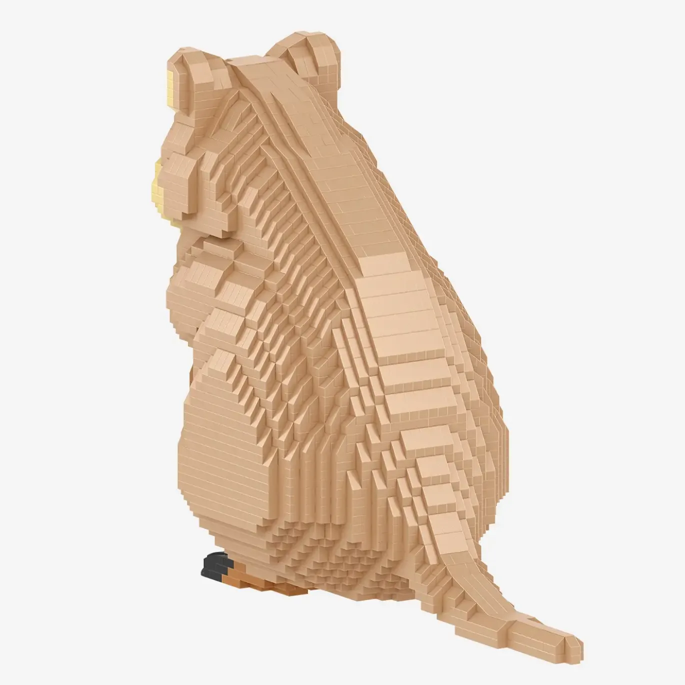 Quokka