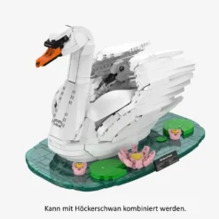 Schwanenküken