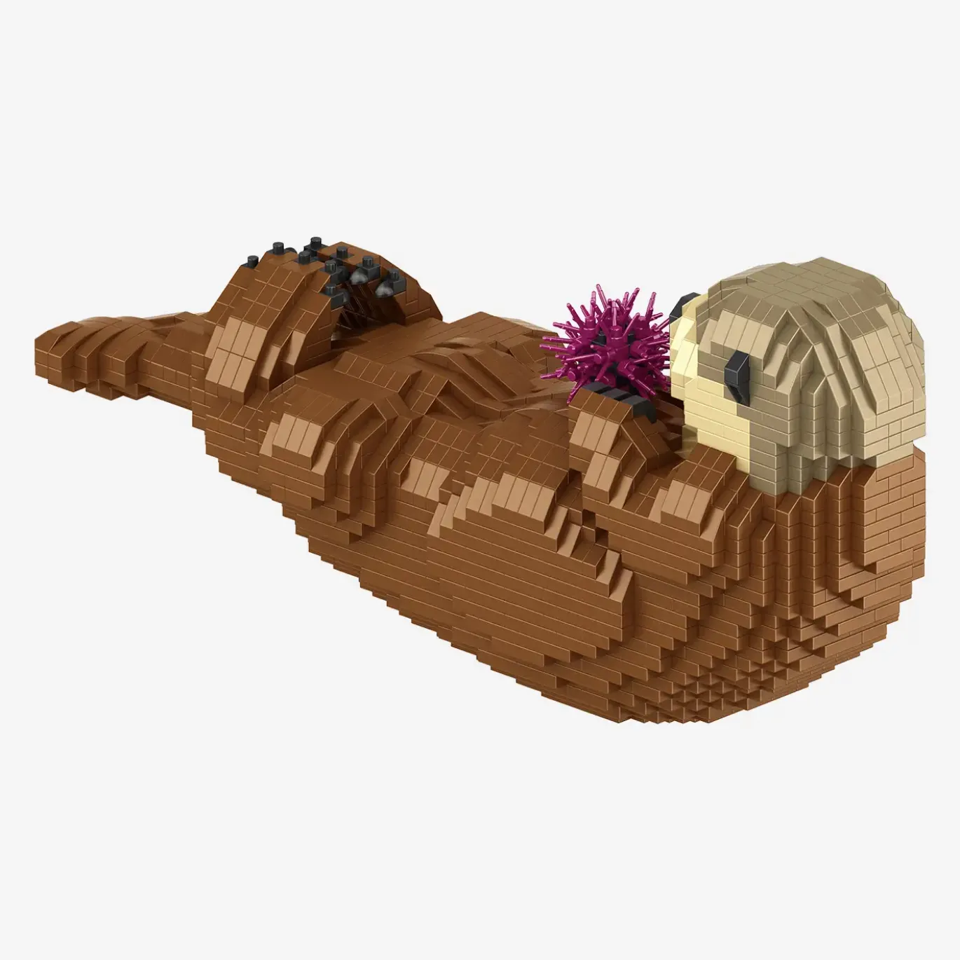 Seeotter