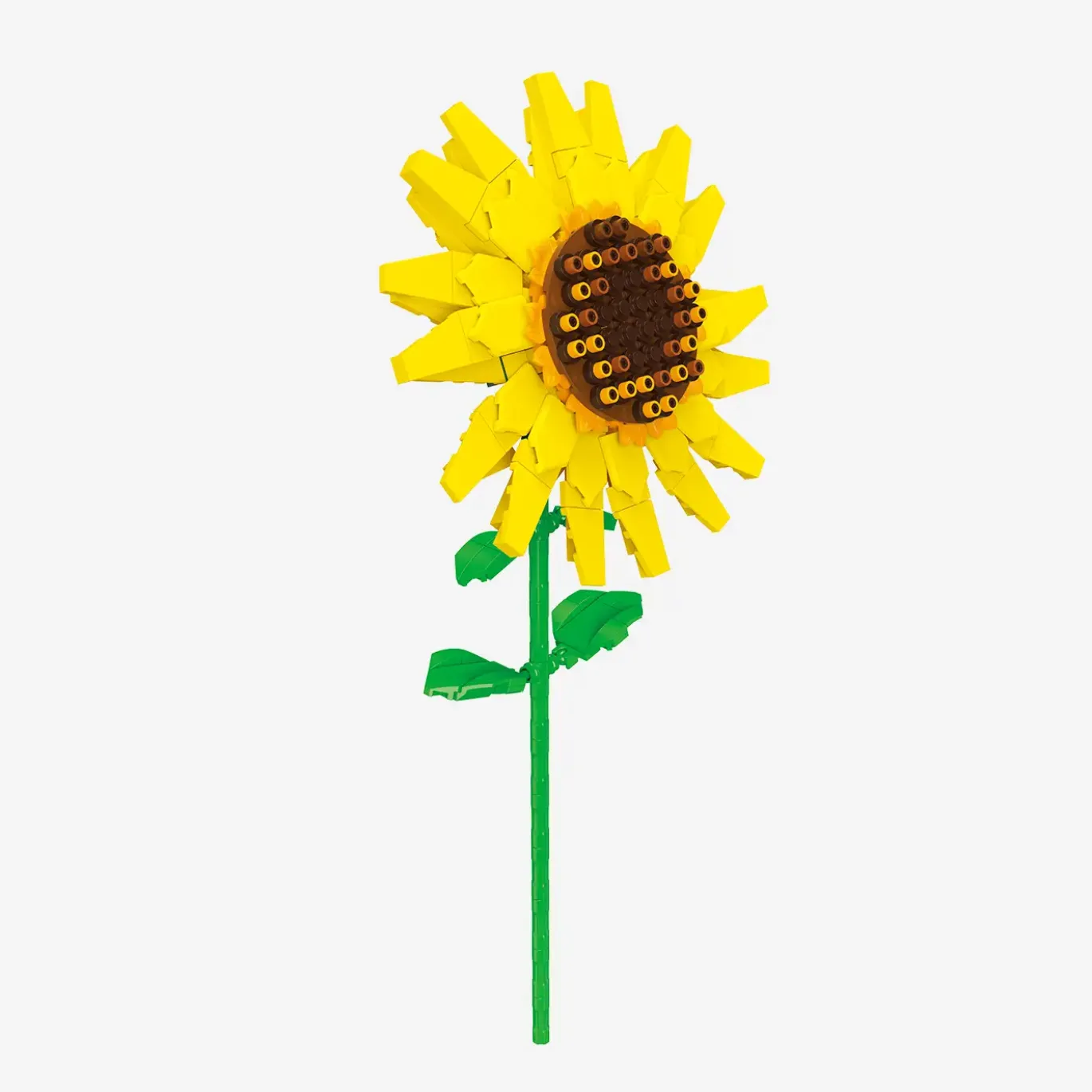 Sonnenblume