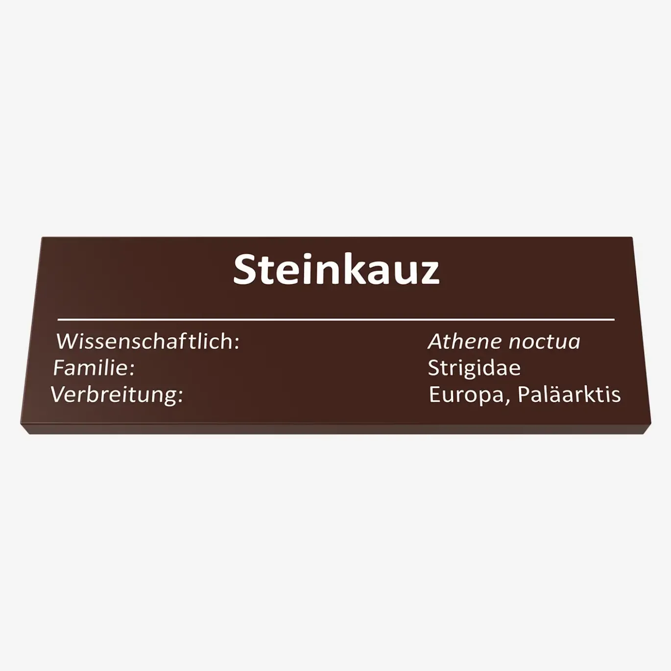 Steinkauz