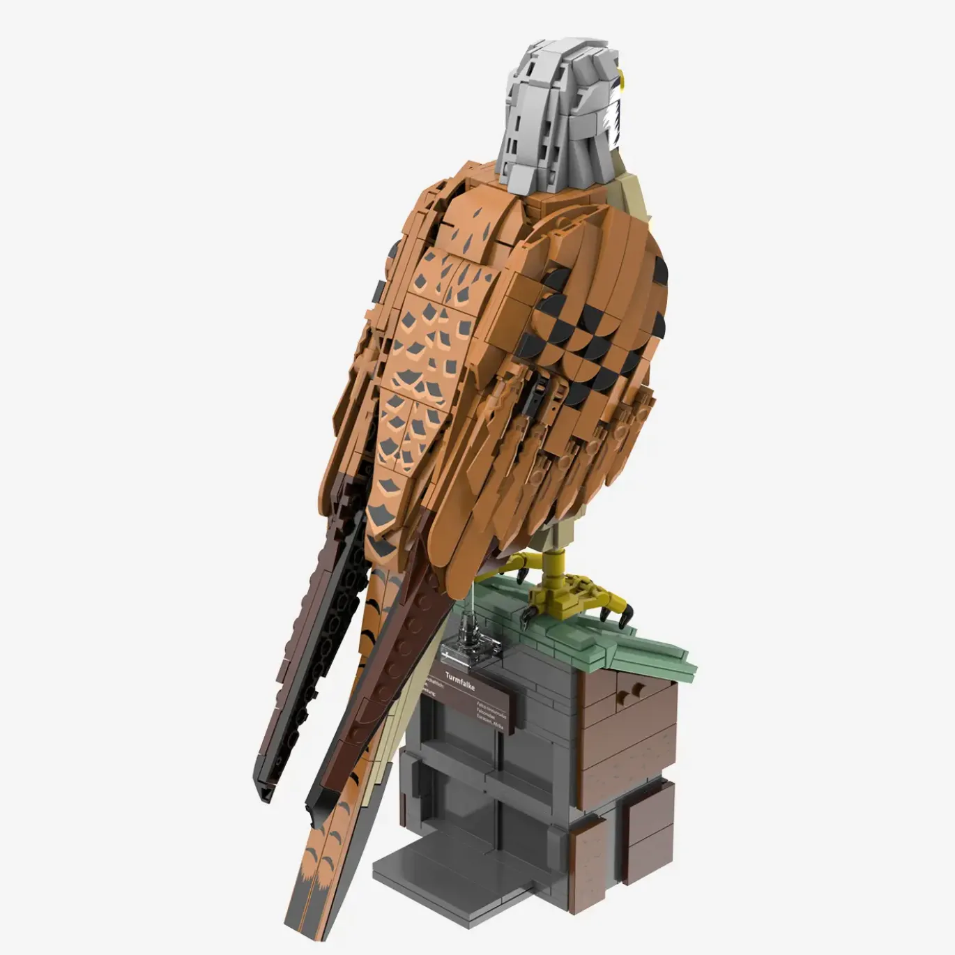 Turmfalke