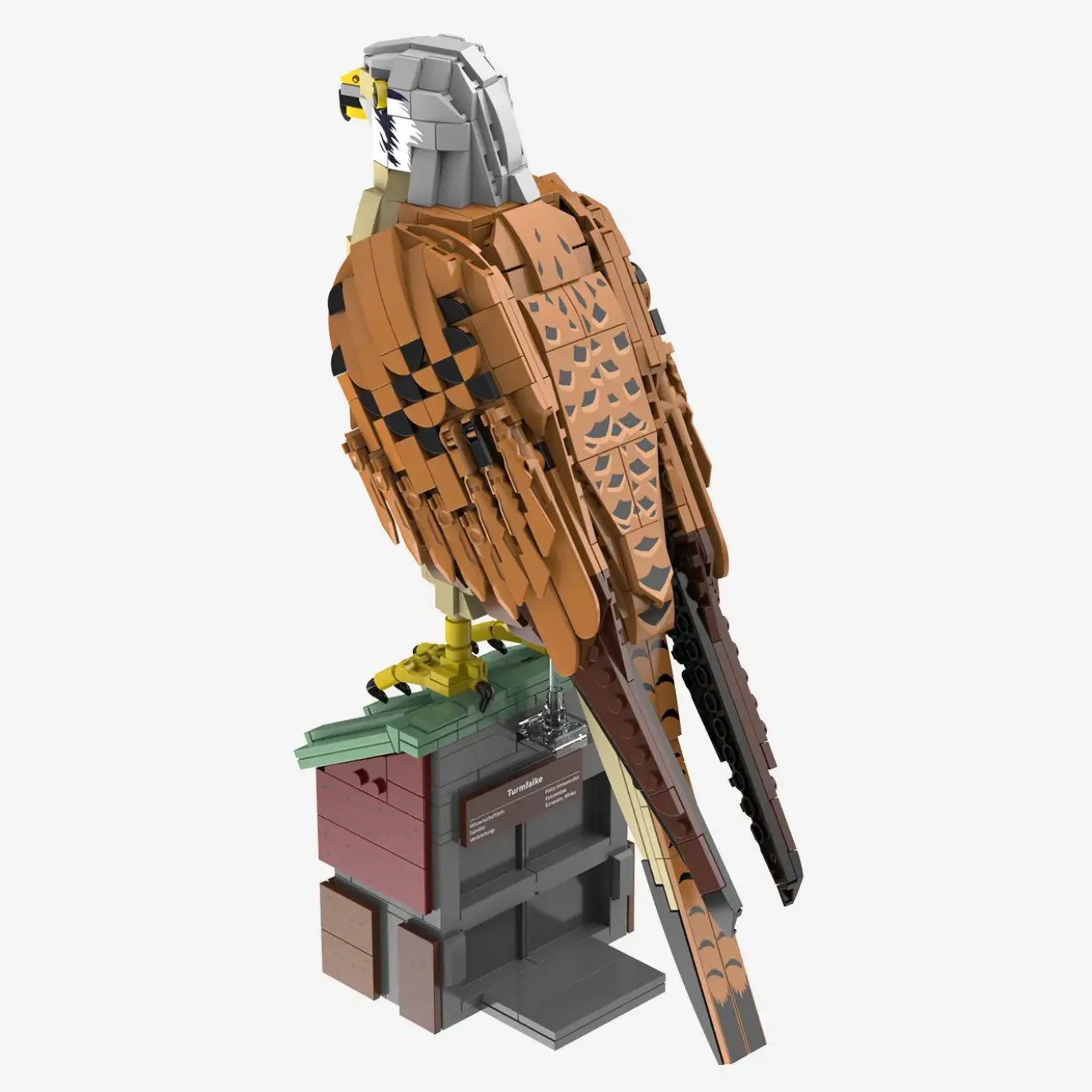 Turmfalke