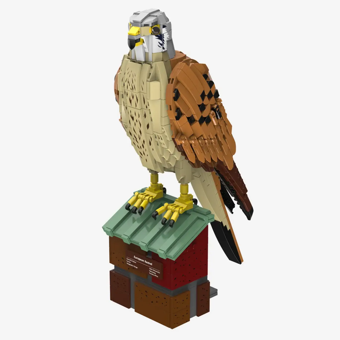Turmfalke